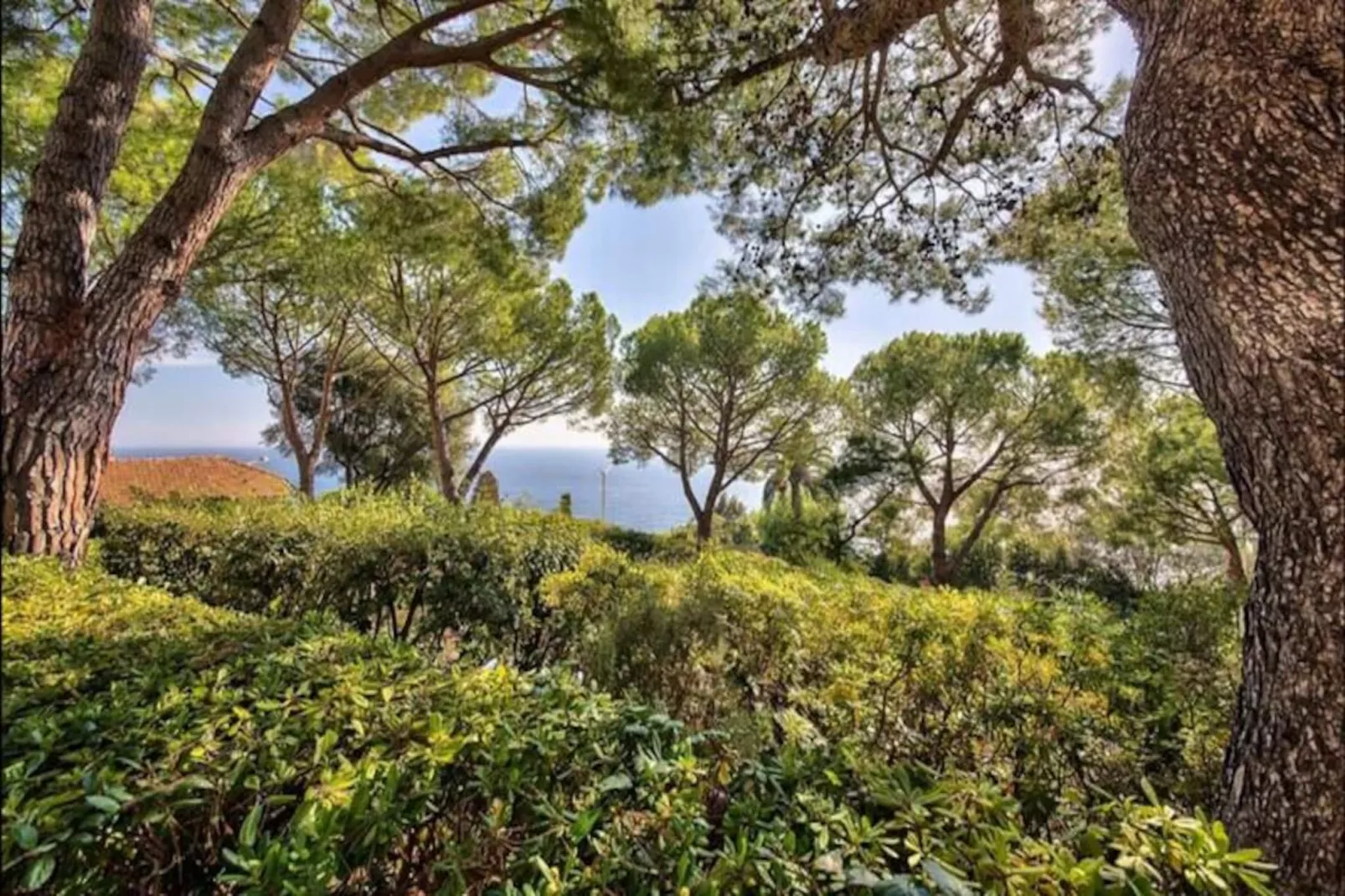 06db Magnifique Appartement Vue Incroyable Mtboron-Non tagué