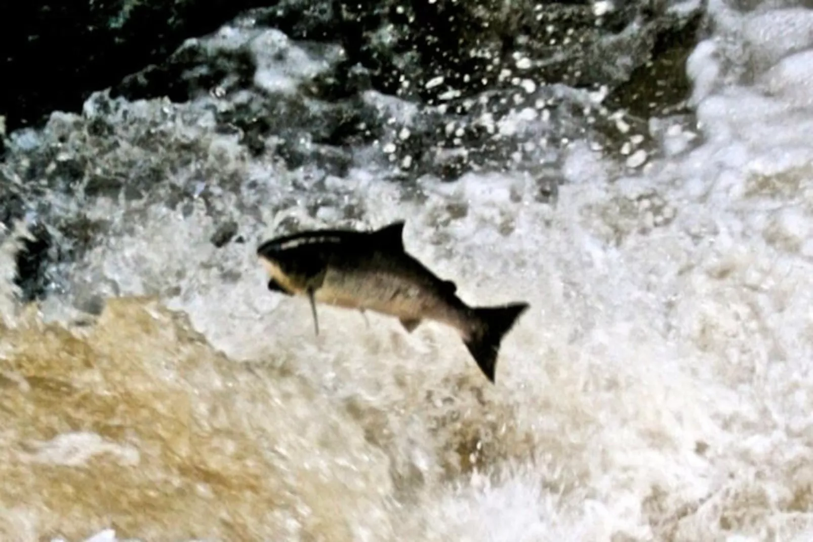 Maison à Oughterard-Untagged