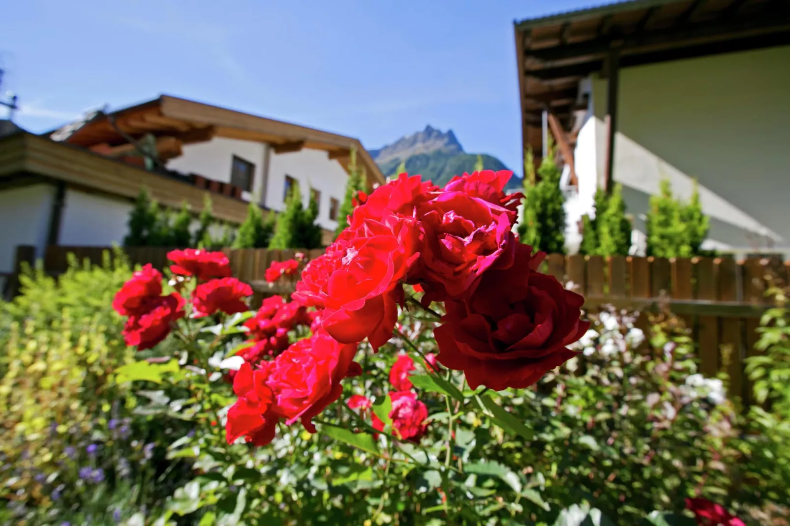Grüner-Jardins en été