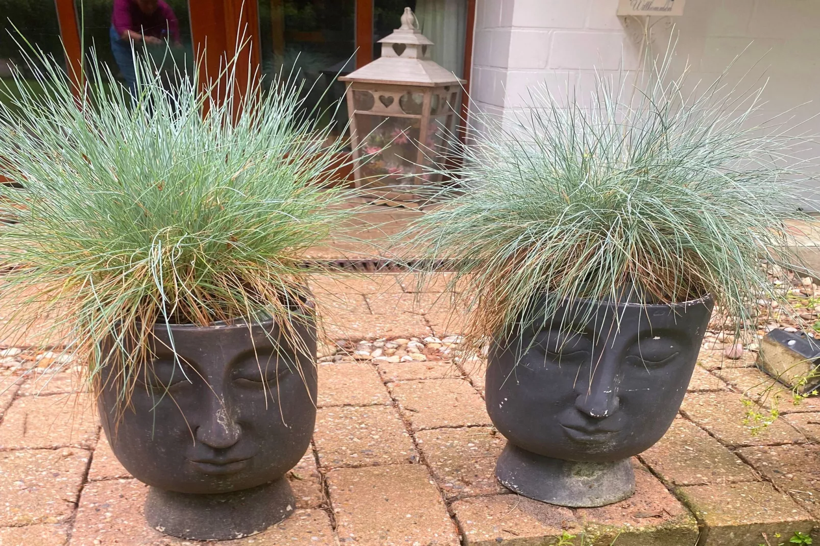 Boschhuys-Garten Sommer