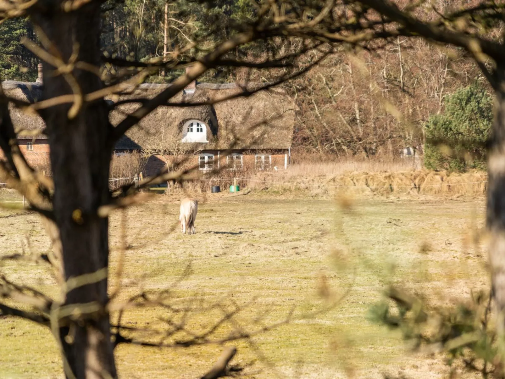 "Tine" - 2.3km from the sea-Outside