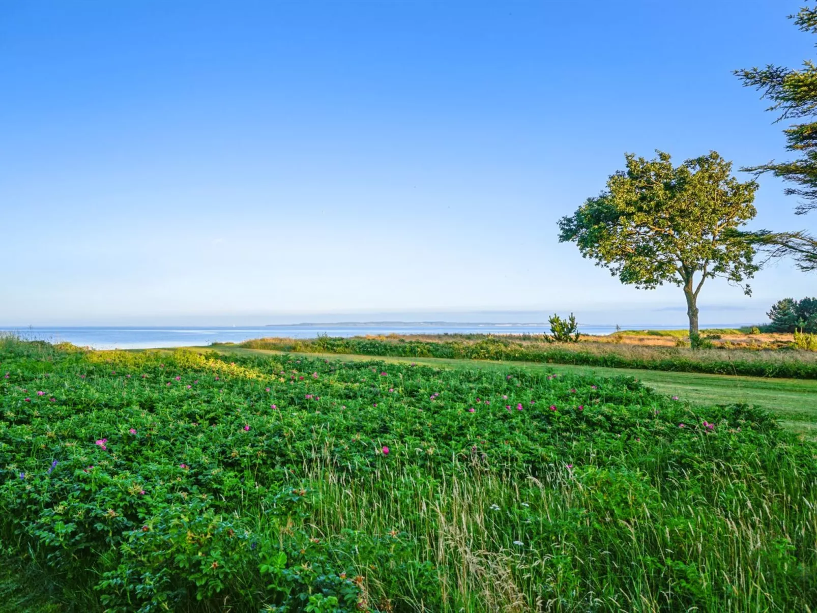 "Sebastian" - 100m to the fjord-Outside