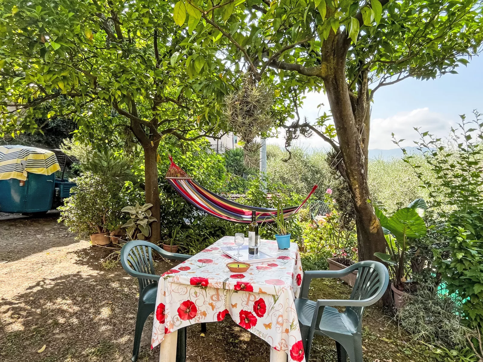 Elisa (DOL127)-Dehors