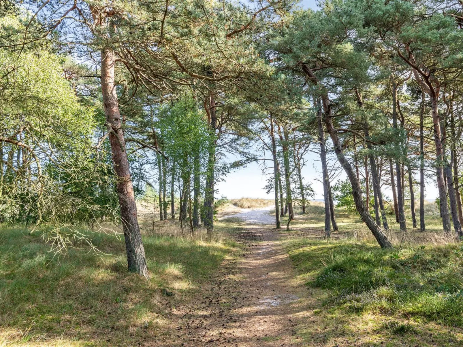 "Selvi" - 125m from the sea-Draußen