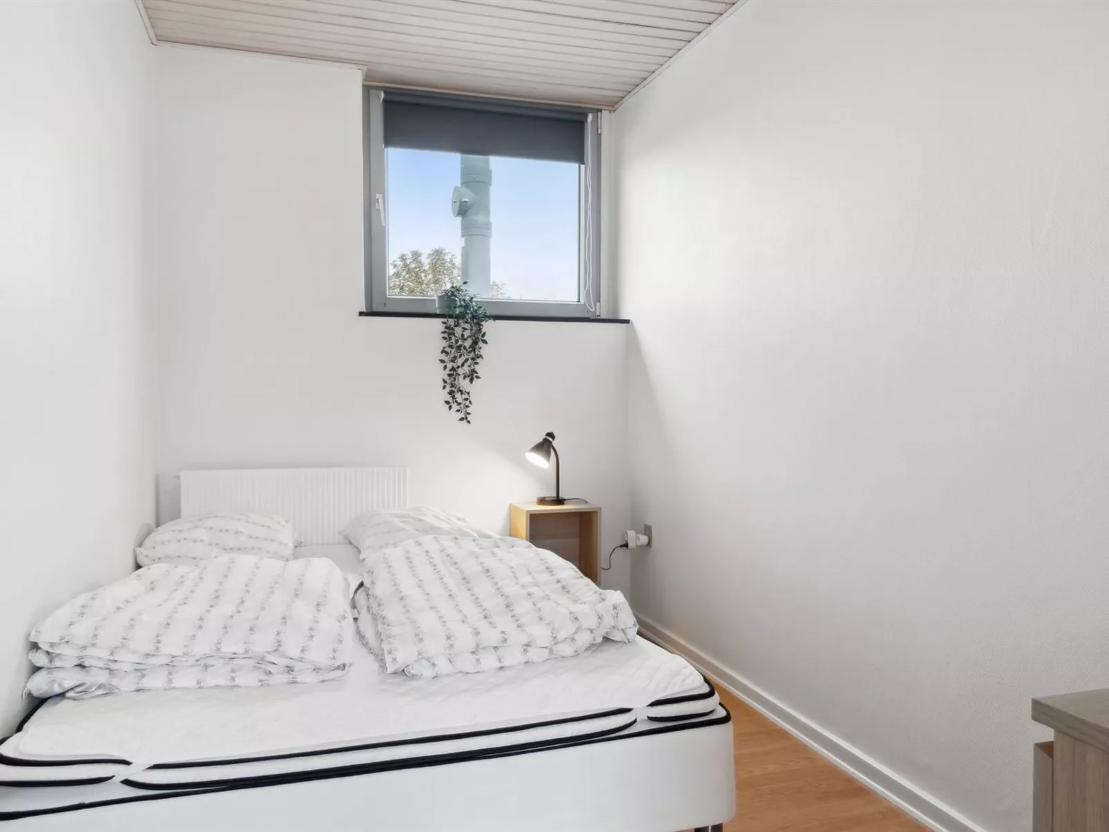 "Elaine" - 350m from the sea-Inside