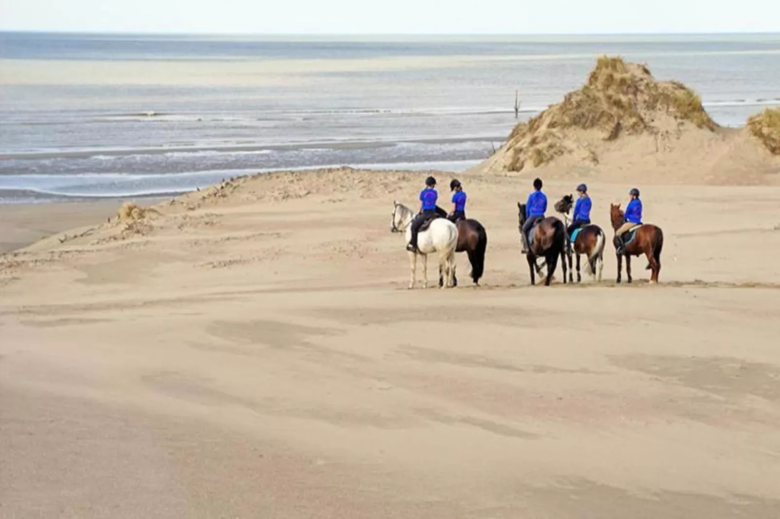 Manderley 0304-Areas within 20km in summer