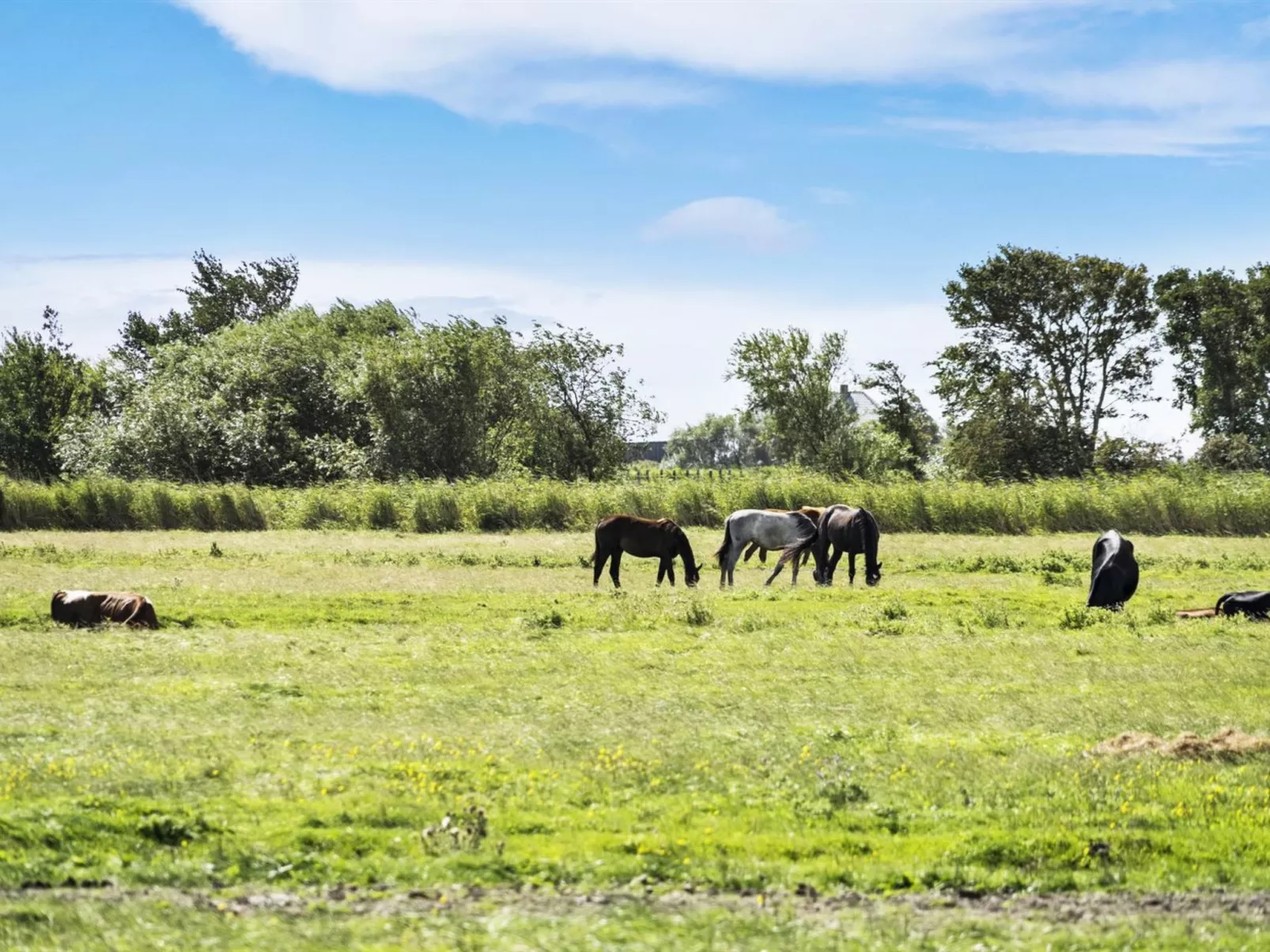 "Janin" - 400m from the sea-Draußen