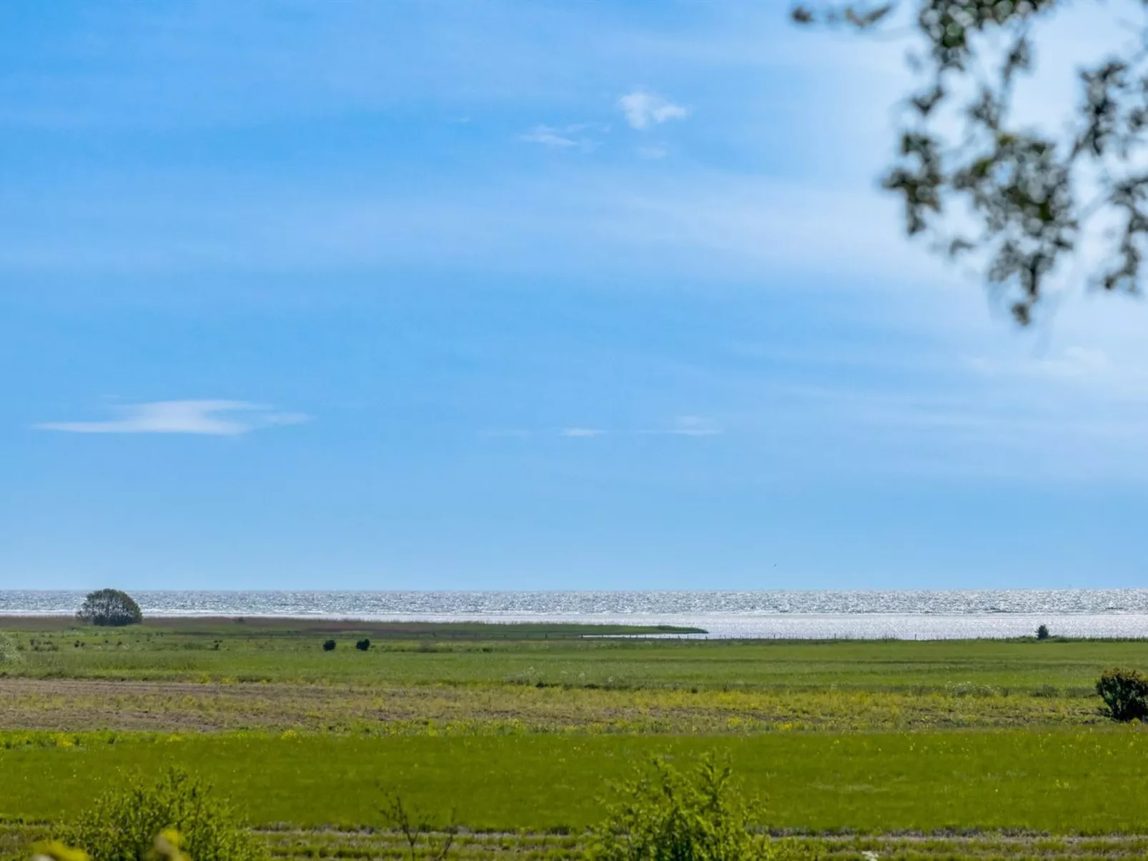 "Veronica" - 700m from the sea-Dehors