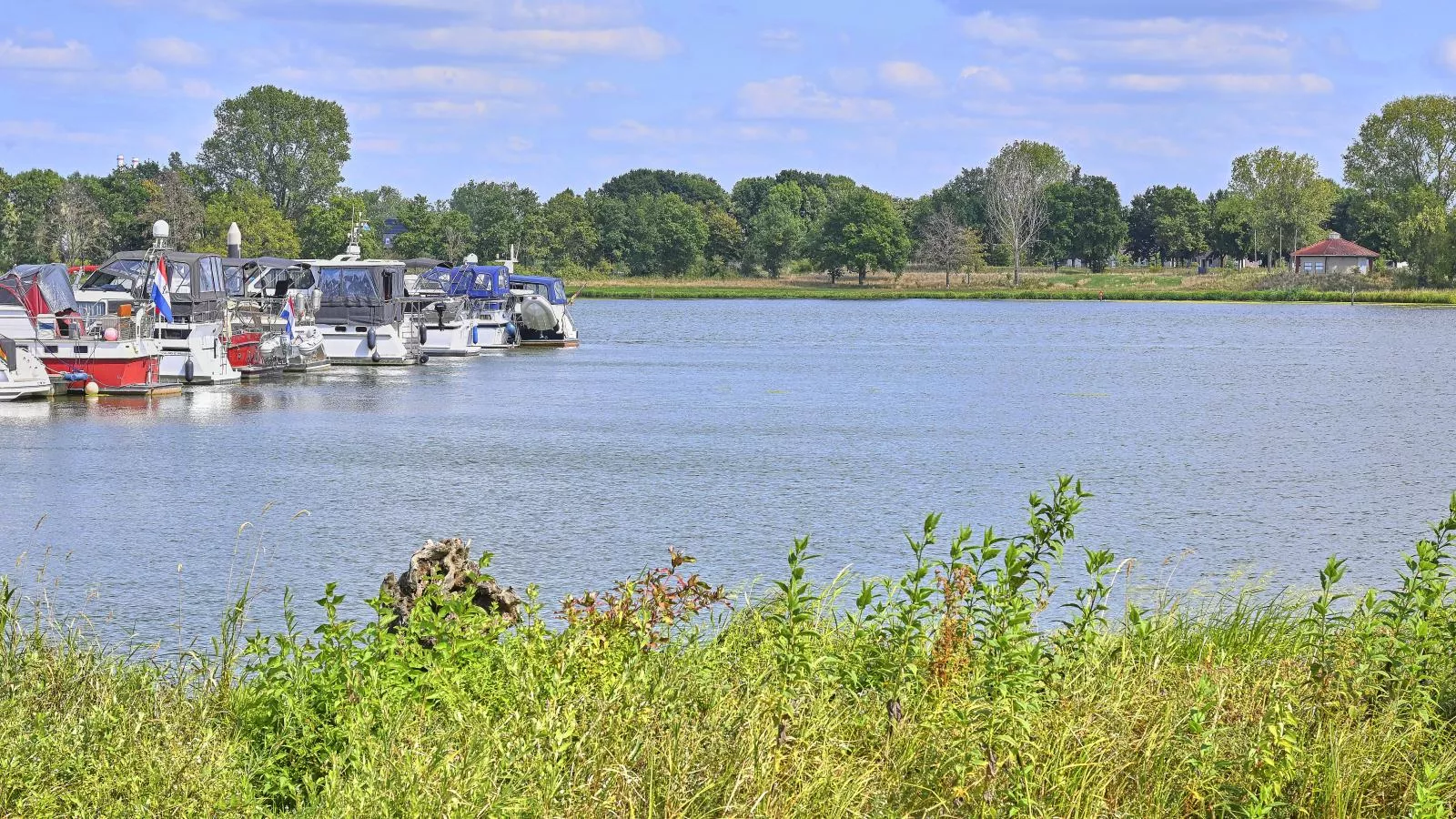 Rose Garden-Vue d'été