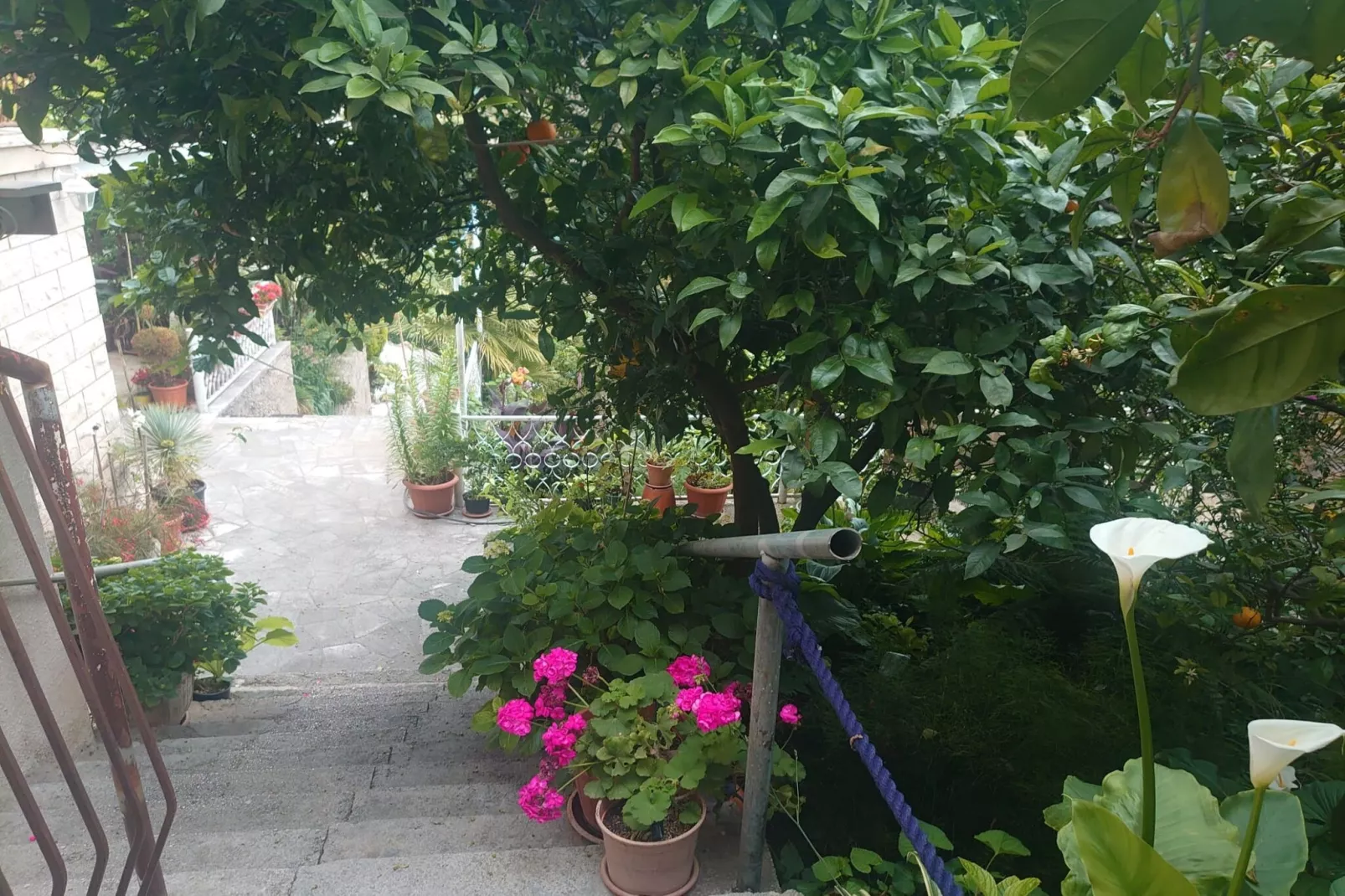 Villa Peragić - Triple Room with Balcony and Private External Bathroom-Vue