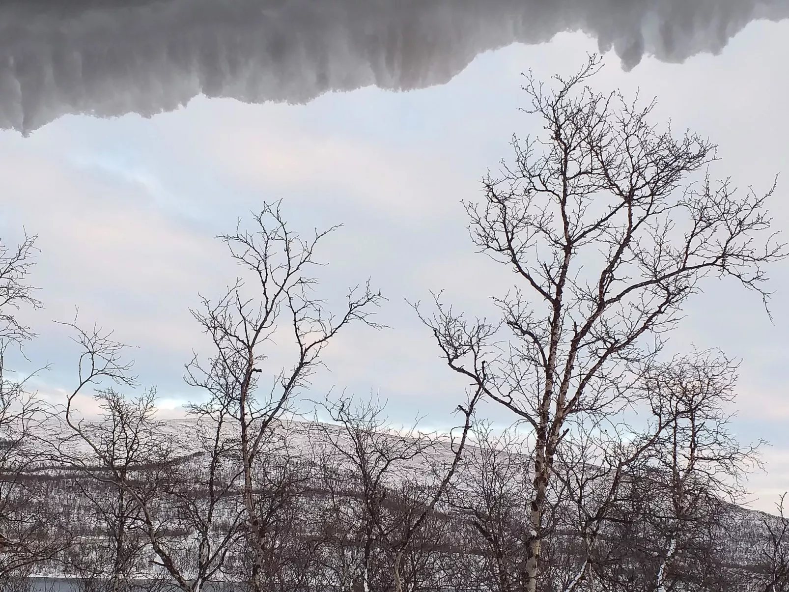 Willa kiiruna-Drinnen