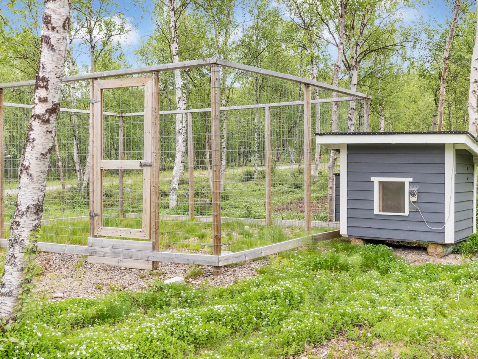 Mökki tenolla-Drinnen