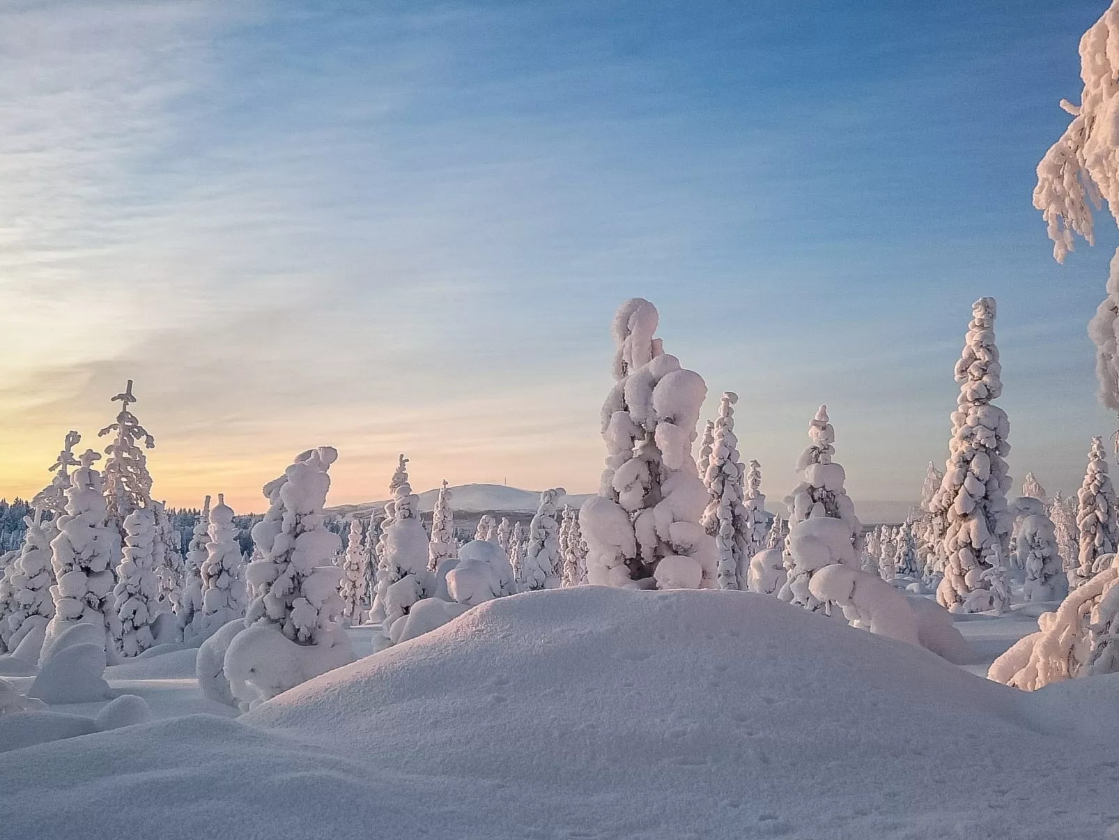 Yllästar 3 as 601-Dedans