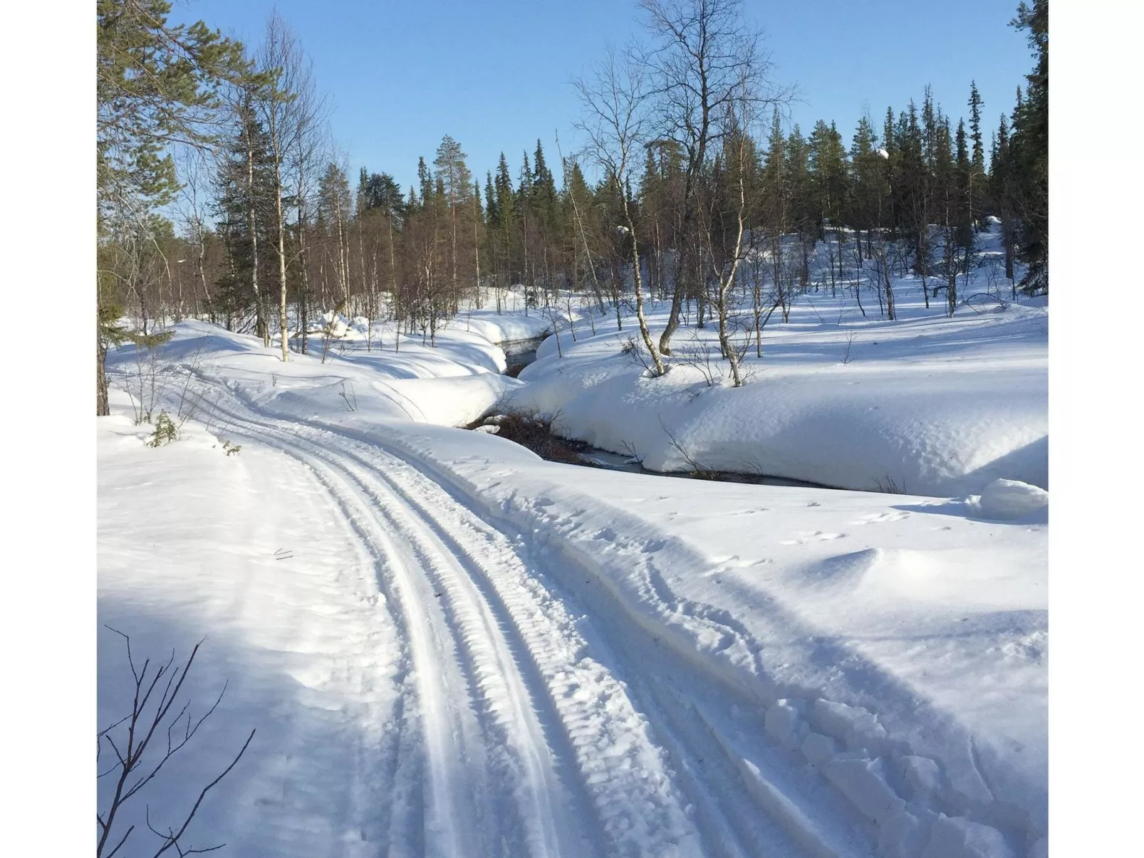 Sallanhelmi a2-Dedans