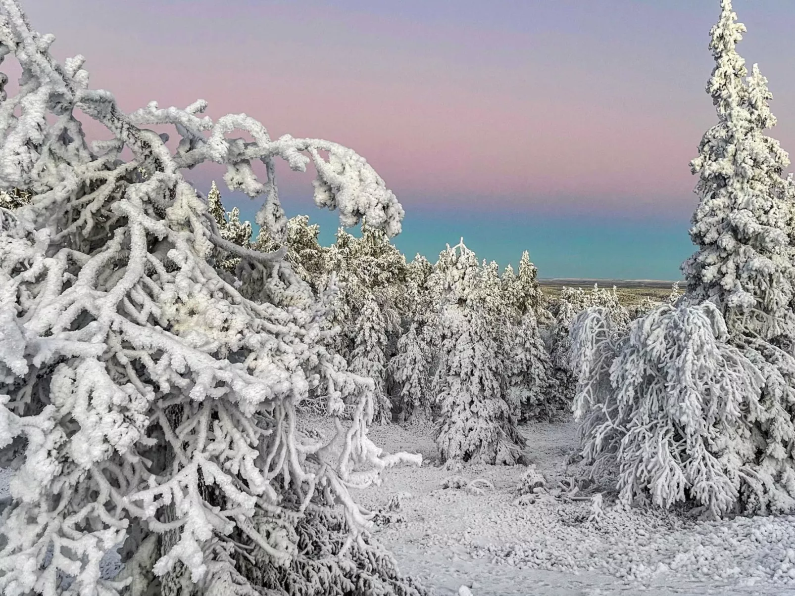 Vuosselinkulma 4-Dedans