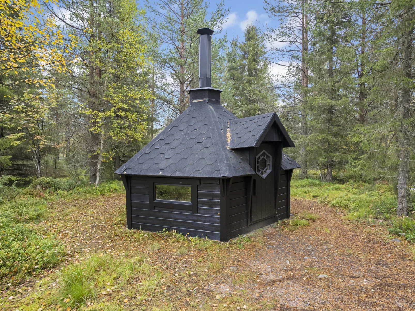 Vuosselin kataja 5-Dedans