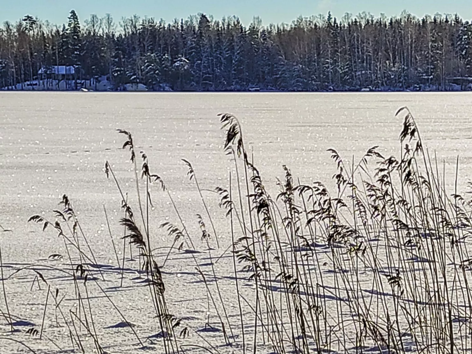 Annelinniemi-Drinnen