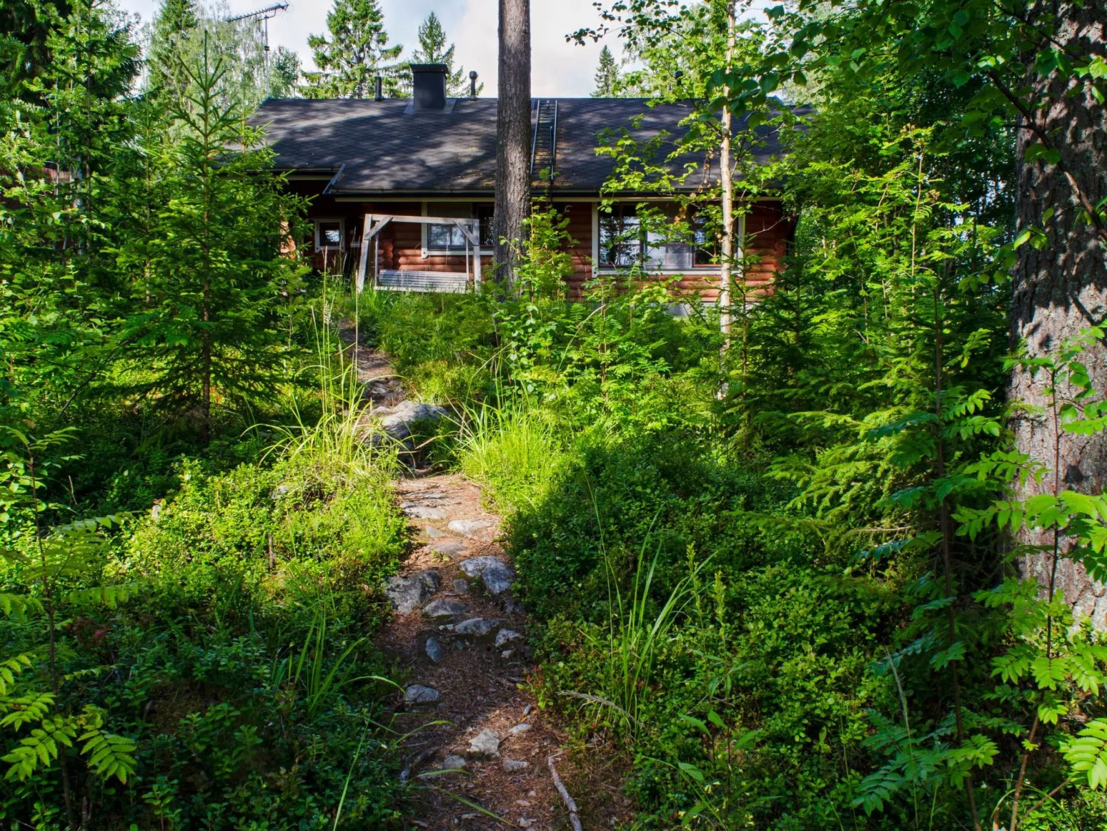 Amero purnu 3-Dedans