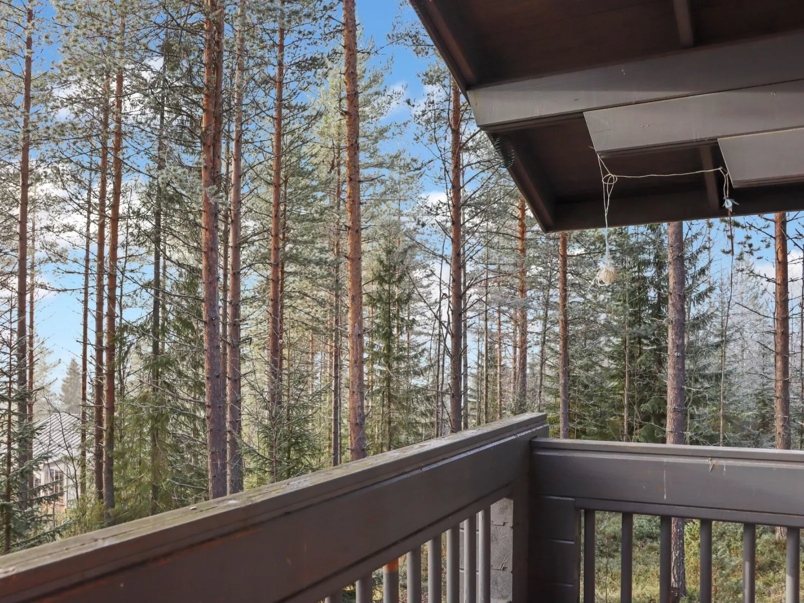 Alppitalo mökki-Dedans