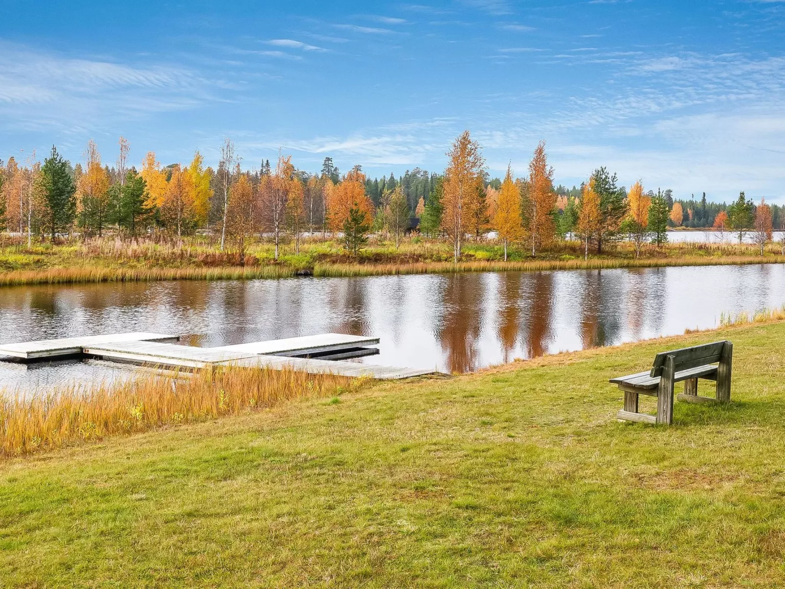 Sallanhelmi c2-Dedans