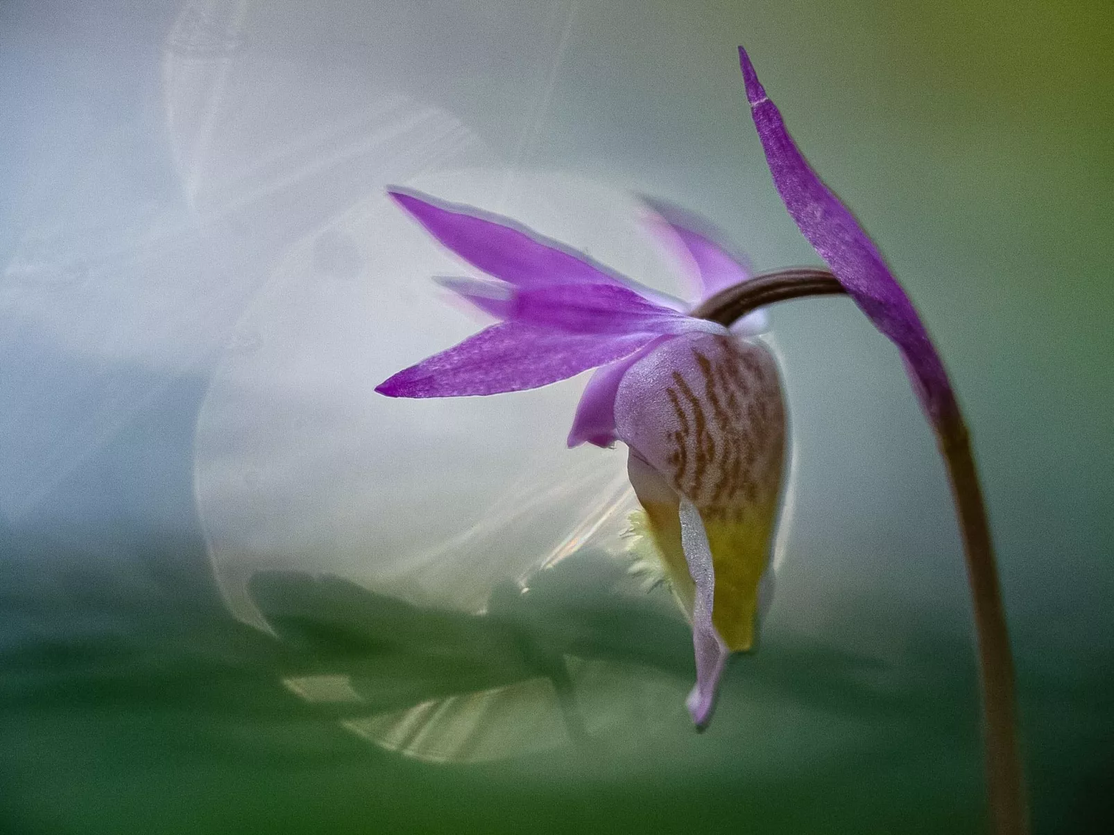 Jussis chalet a-Dedans