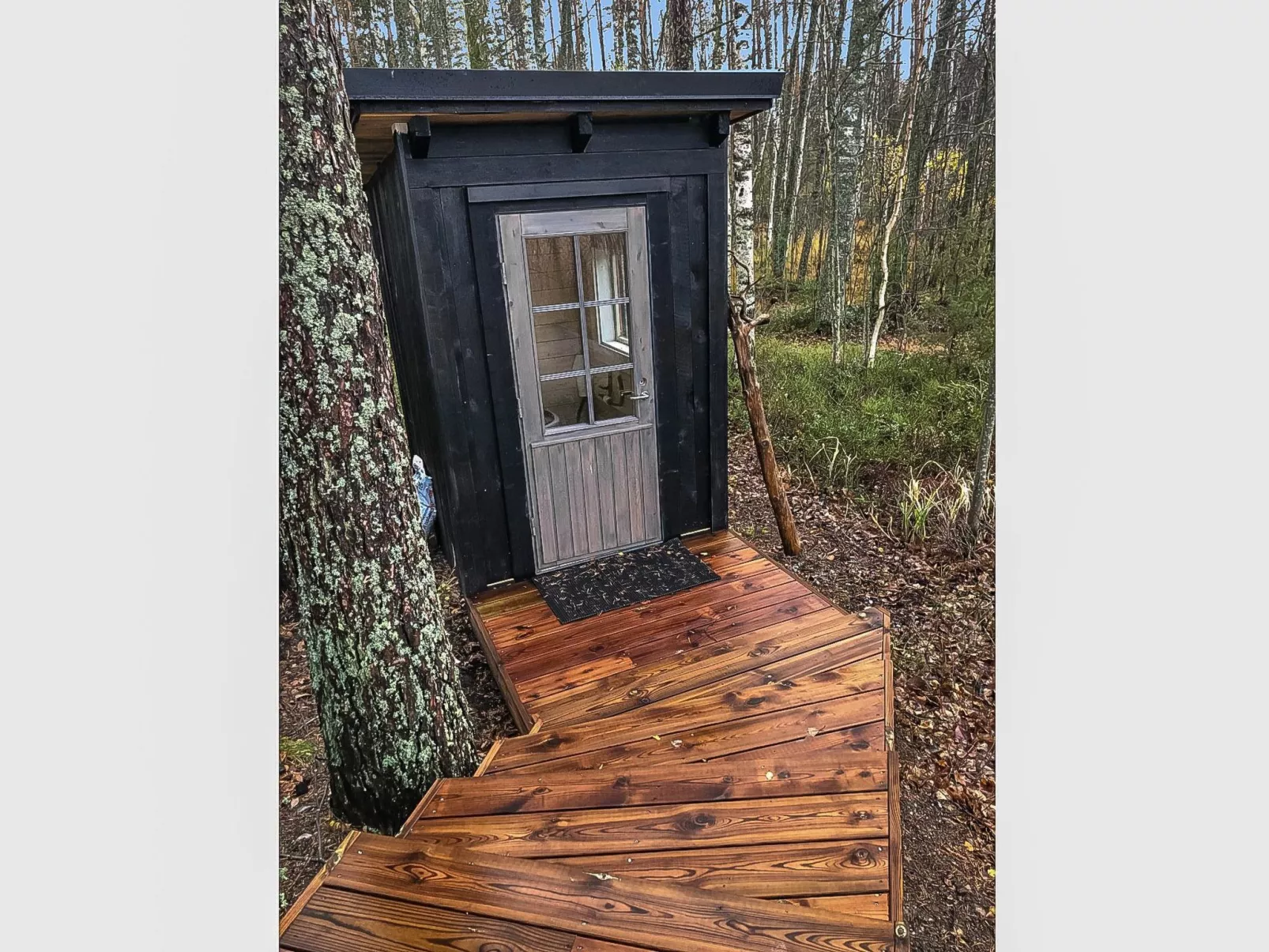 Villa saimaan joutsenlahti-Dedans