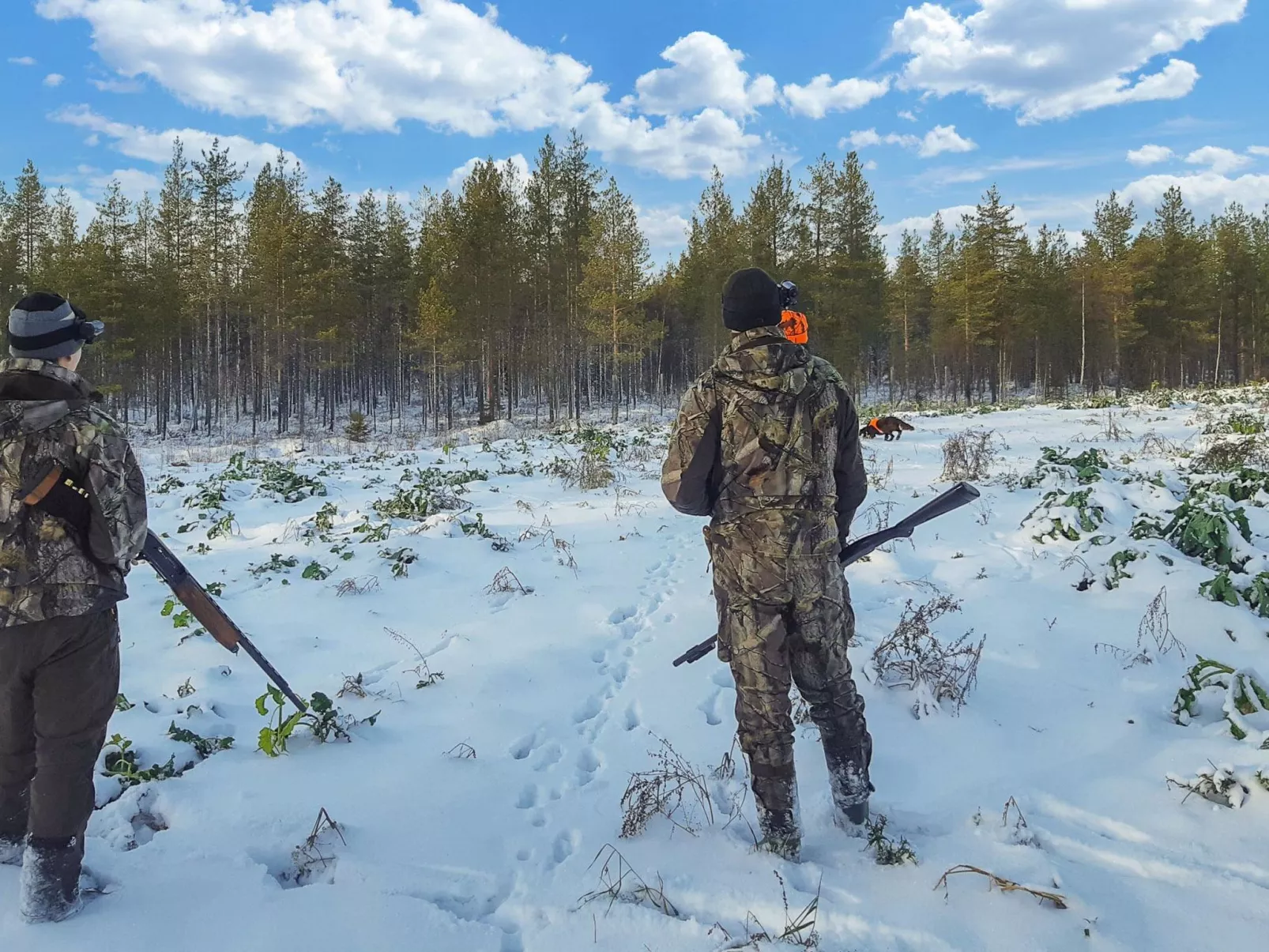 Backcountry base-Inside