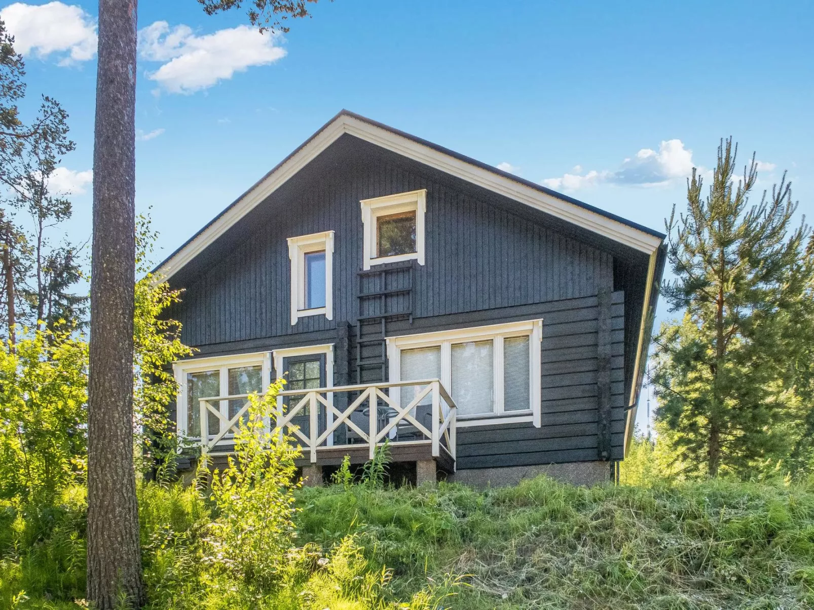 Vuokatin molle-Dedans