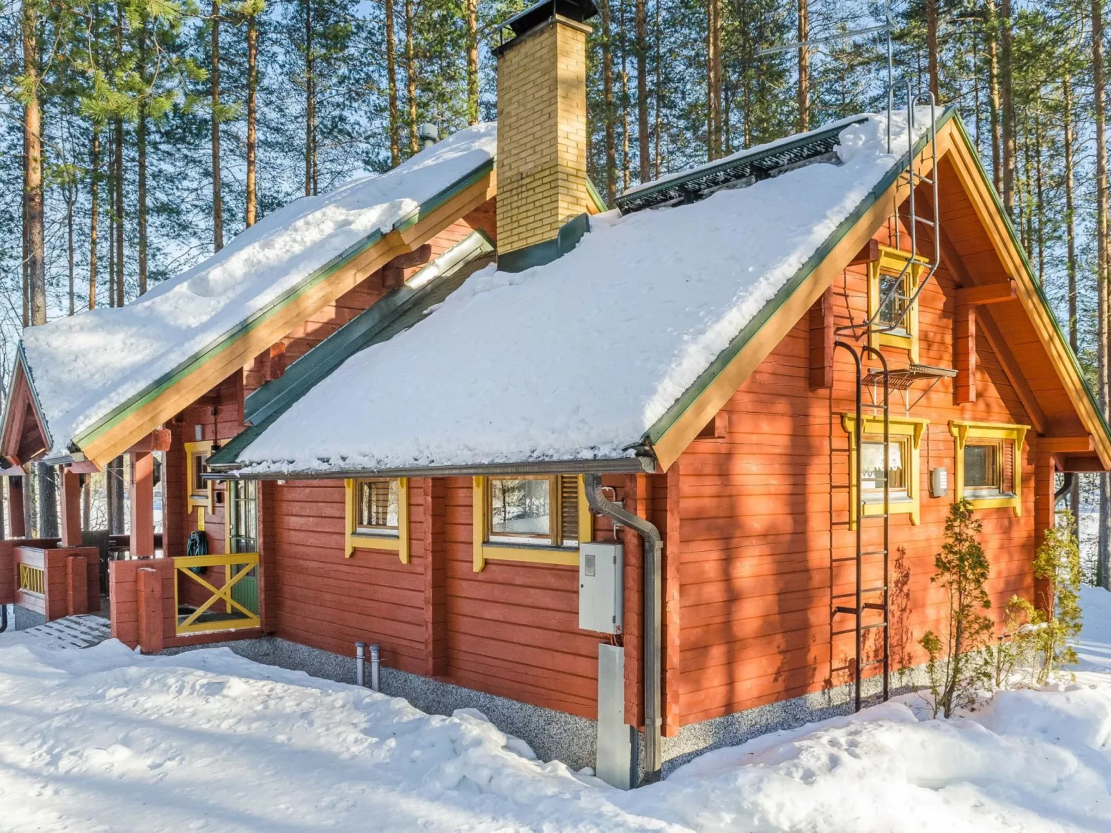 Villa käpytikka-Dedans