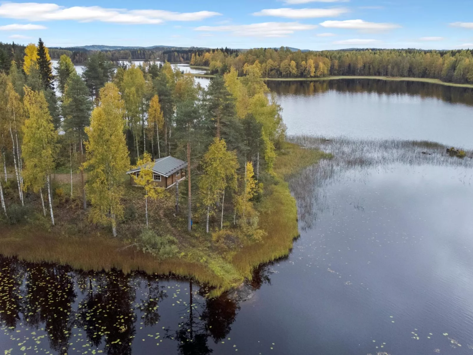 Niemenkärki, vaikon loma 8-Dedans