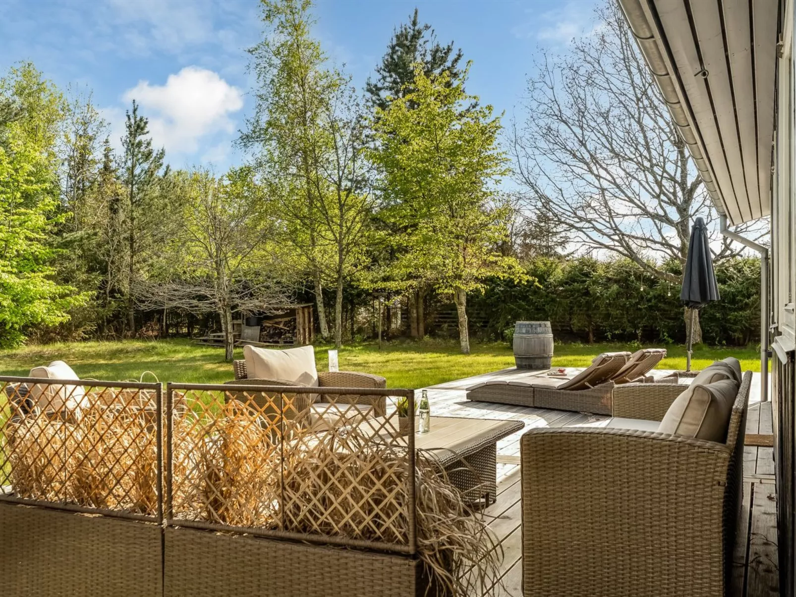 "Toralf" -  from the sea-Draußen