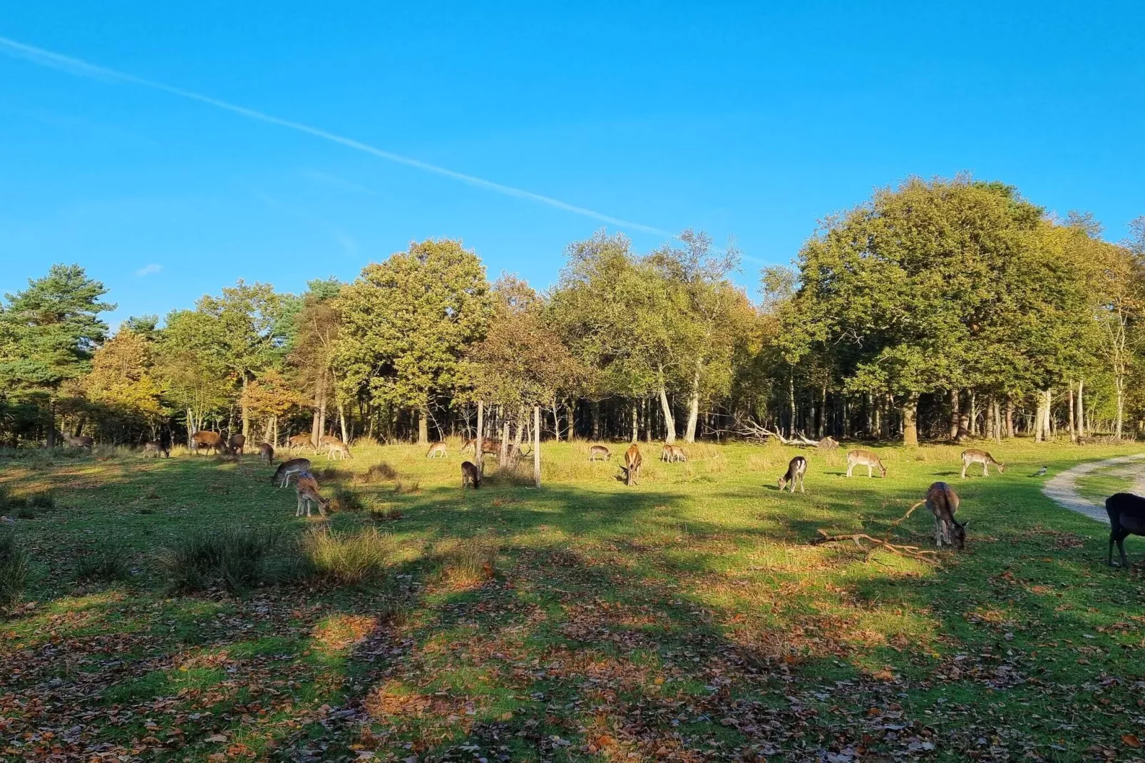 5 star holiday home in Bogense-Untagged