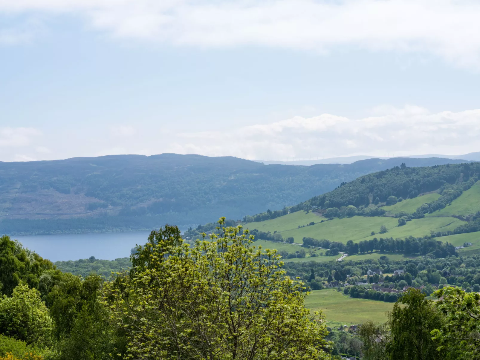 Achmony Green-Dehors