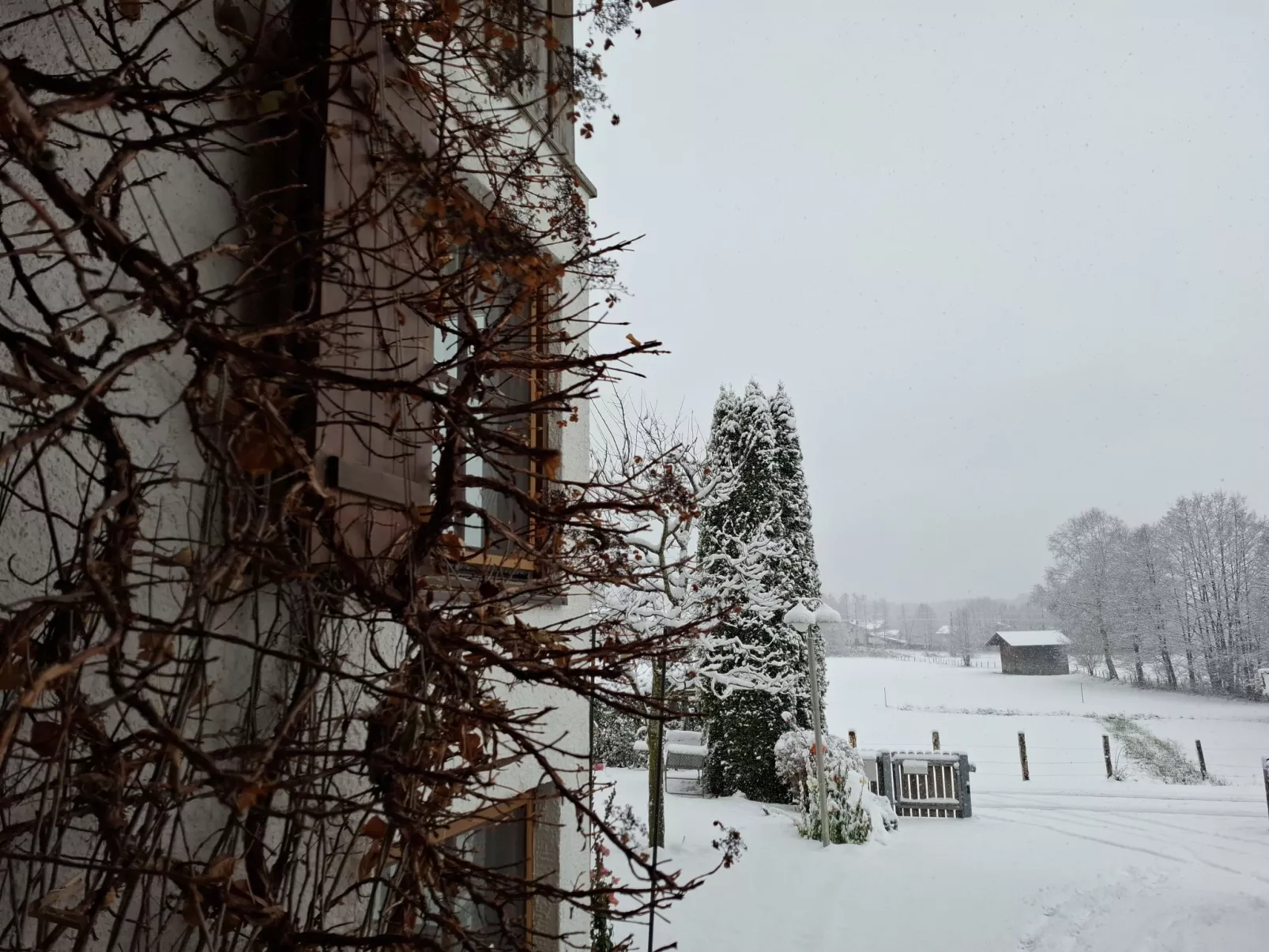 Martinsklause-Drinnen