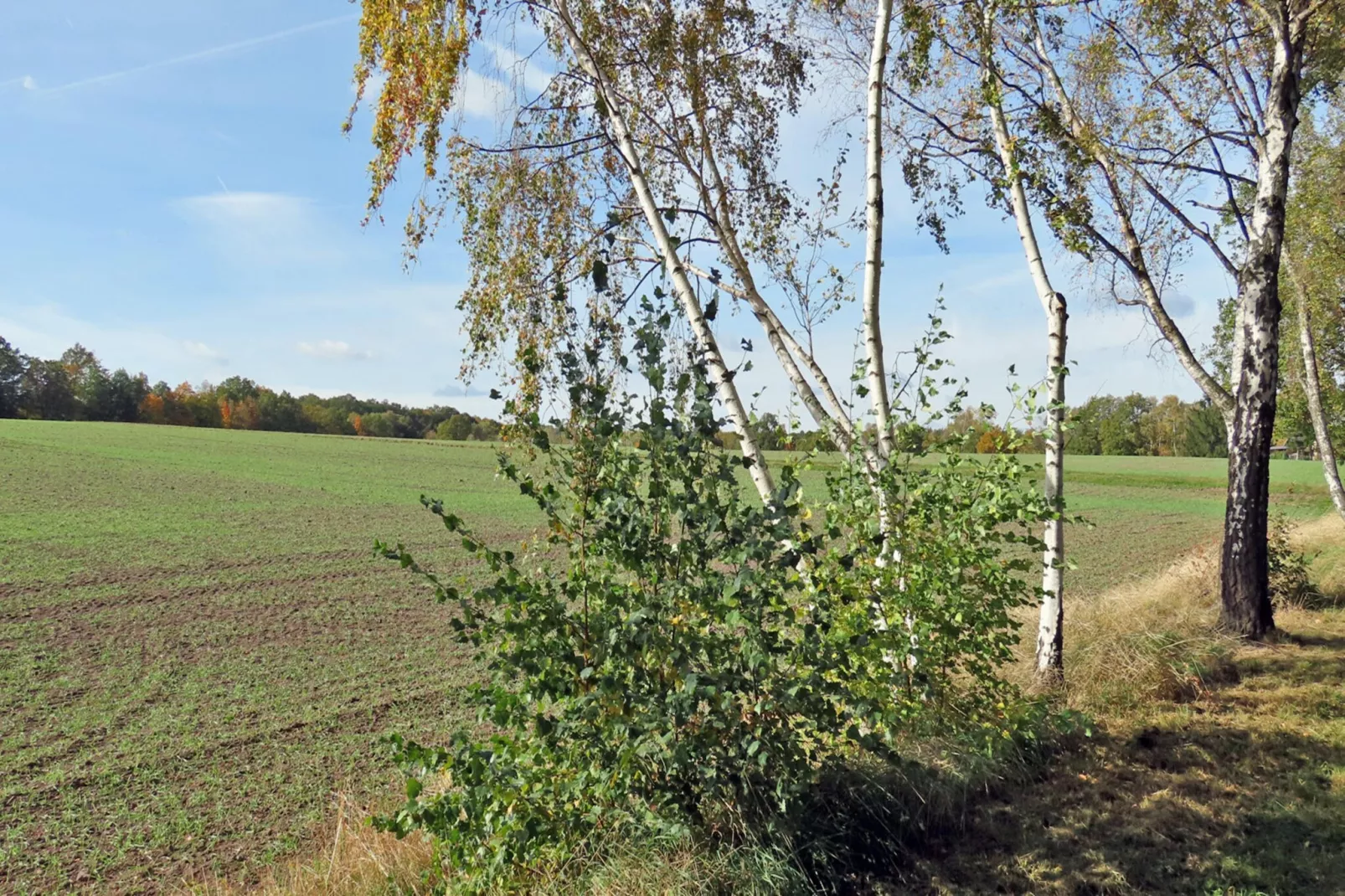 Ferienwohnung Freital - Dresden-Gebiete Sommer 5 km