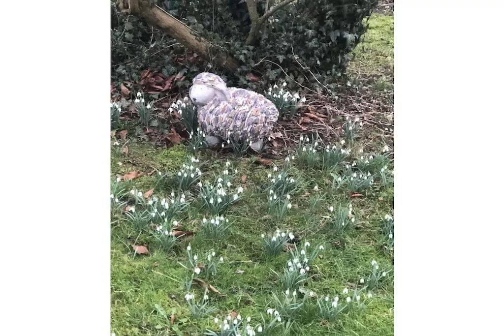 441274-Nicht zugeordnet