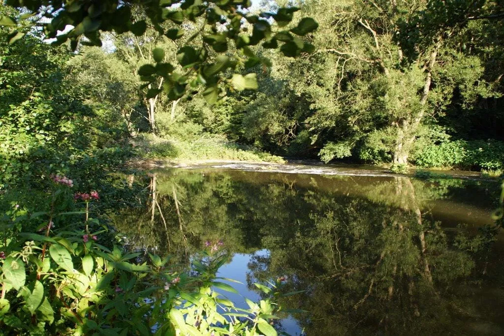 187298-Nicht zugeordnet