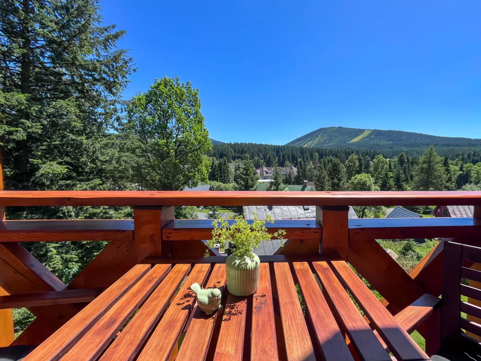 Sachrův Kopec-Dehors