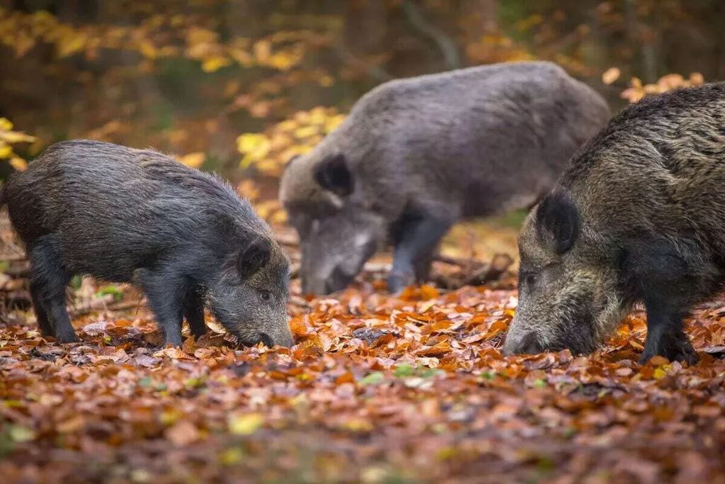 378160-Nicht zugeordnet