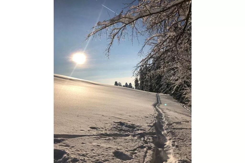 55062-Nicht zugeordnet