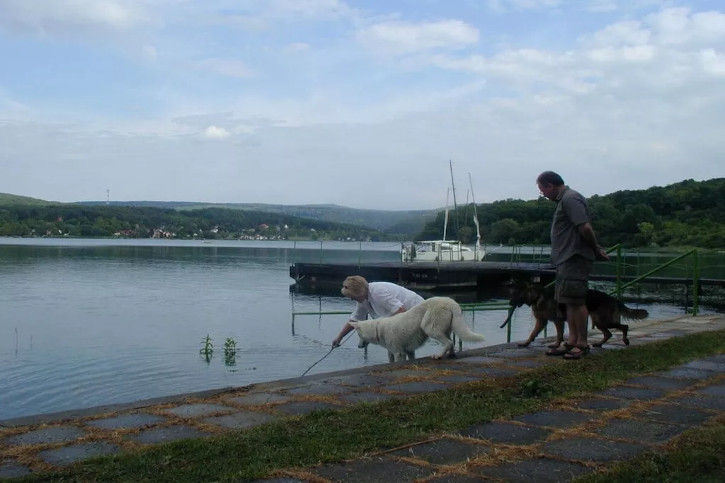 82976-Nicht zugeordnet