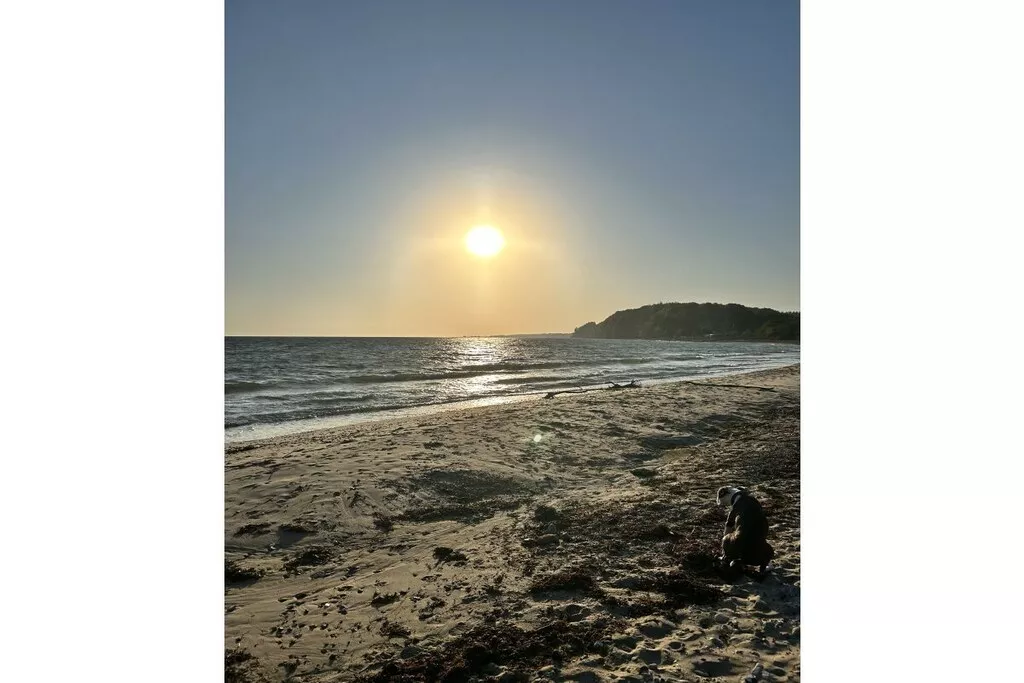 447524-Nicht zugeordnet