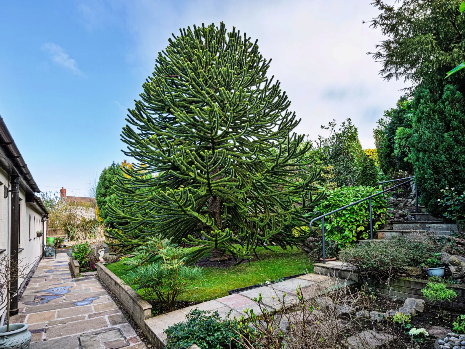 Cesail Y Mynydd-Dehors