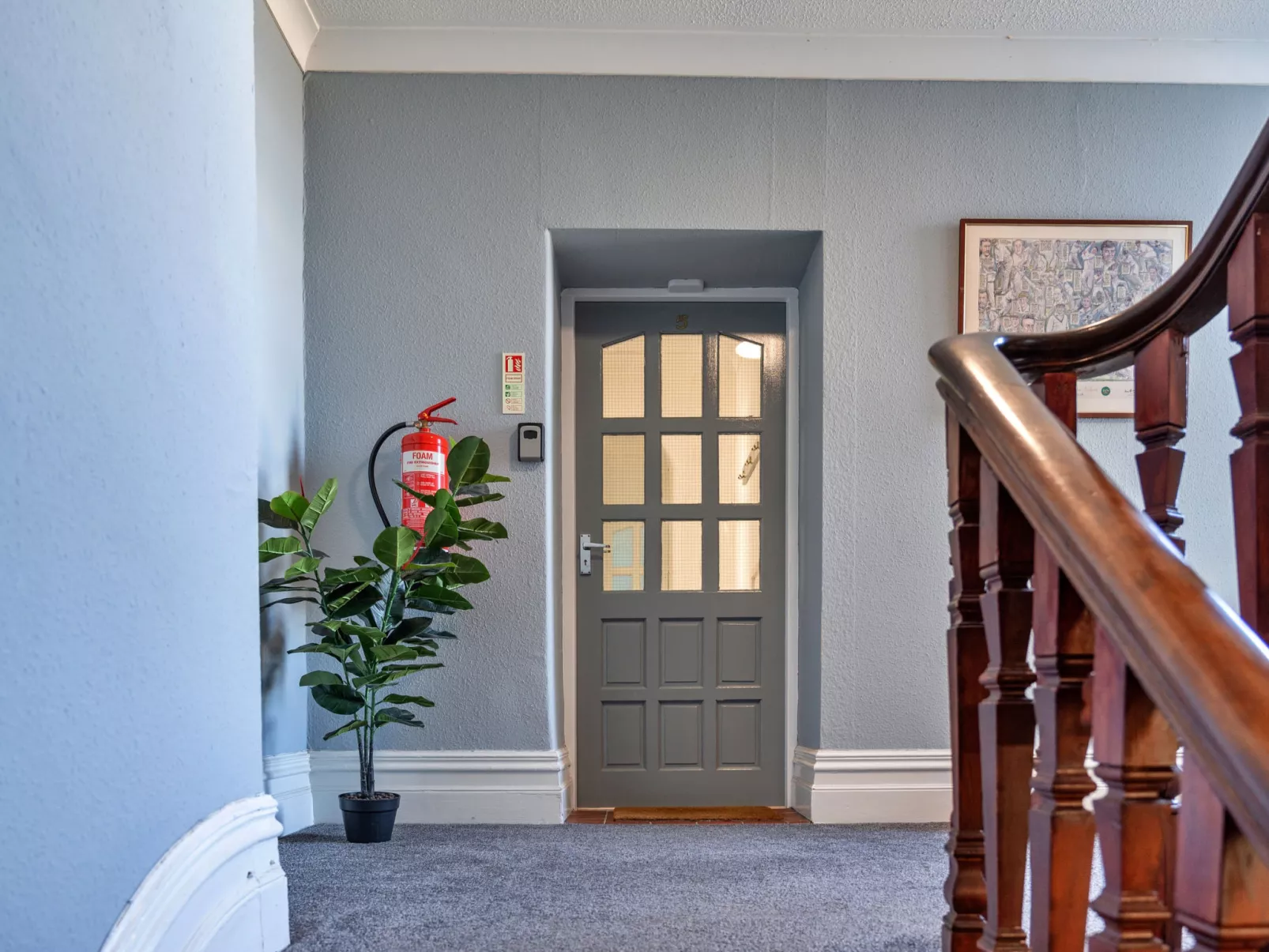 No. 5 Harlequin-Draußen