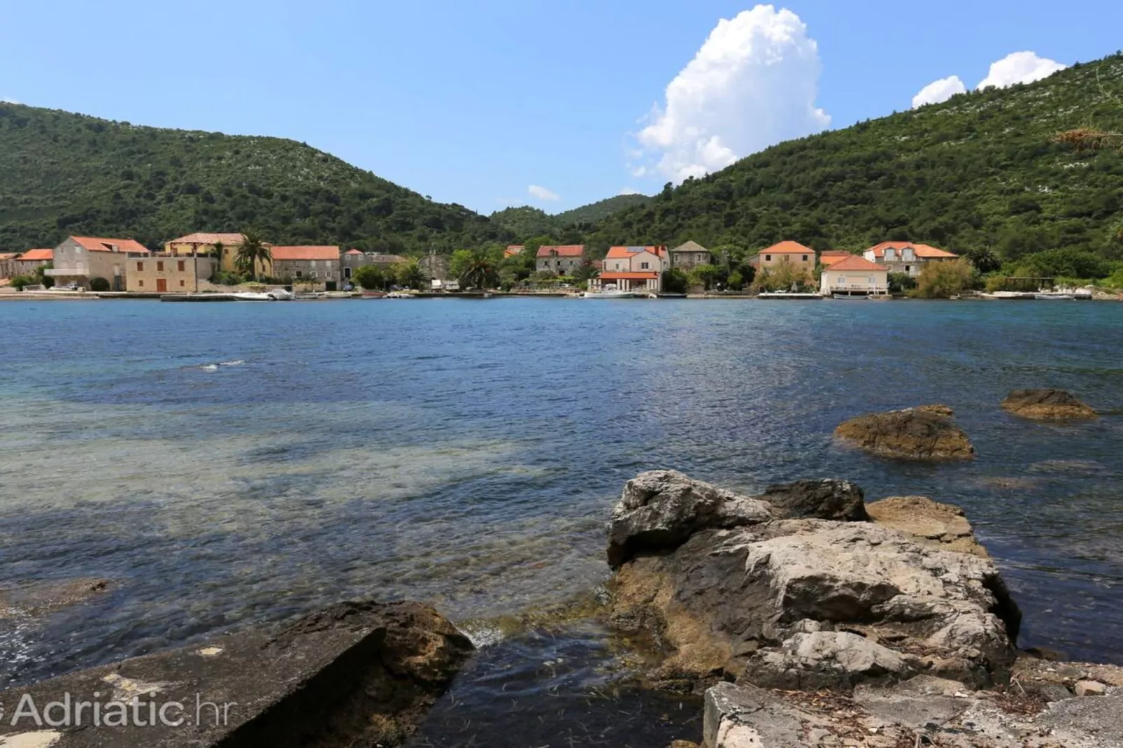 Four bedroom apartment-Ambiance