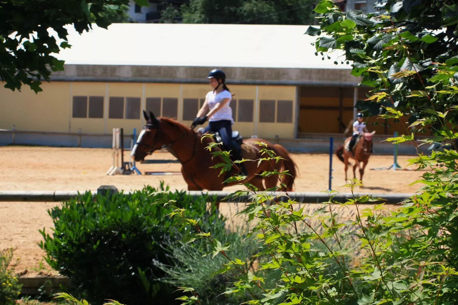 Zevnik Quiet Retreat with Stunning Views and Equestrian Activities - Family Room with Private Bathroom 8-Outdoor