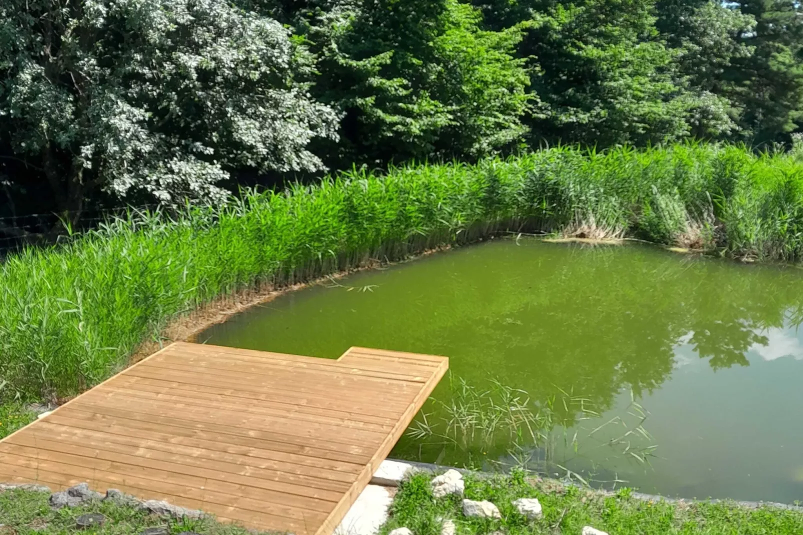 Hidden Authentic Haven Apartments - One Bedroom Apartment with Terrace-Outdoor