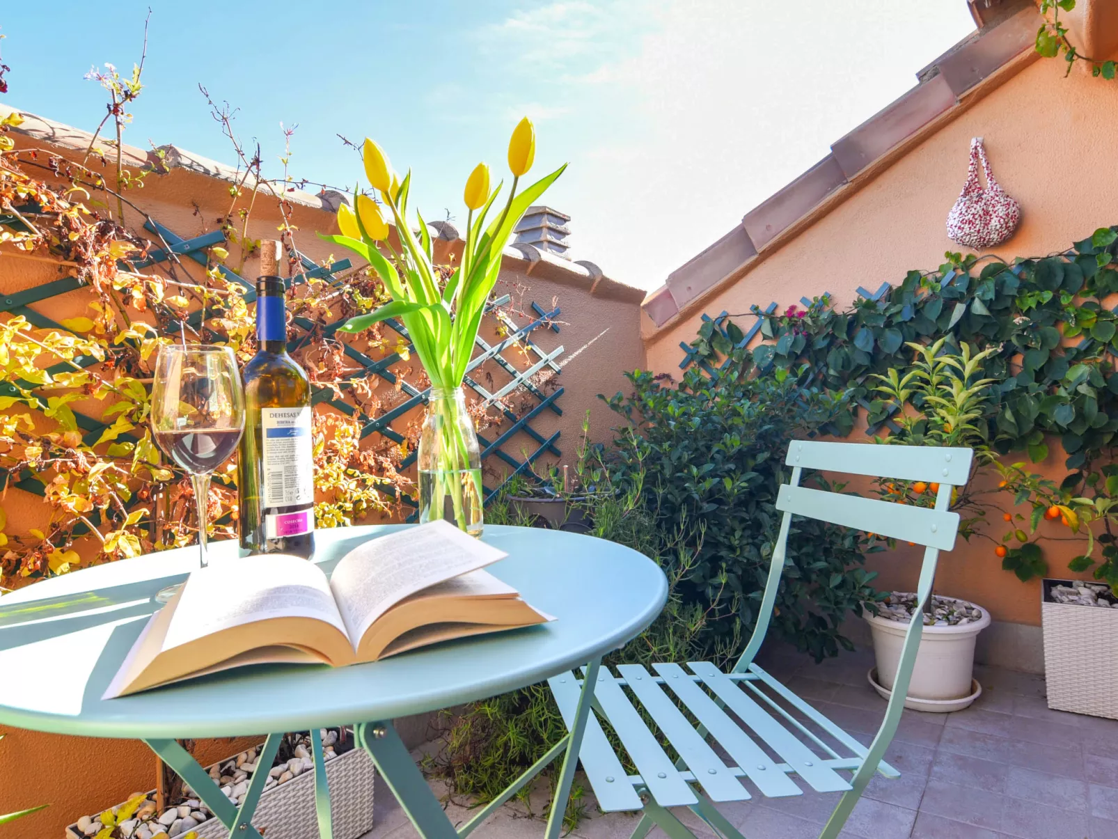 Moreras del Saladar-Outside