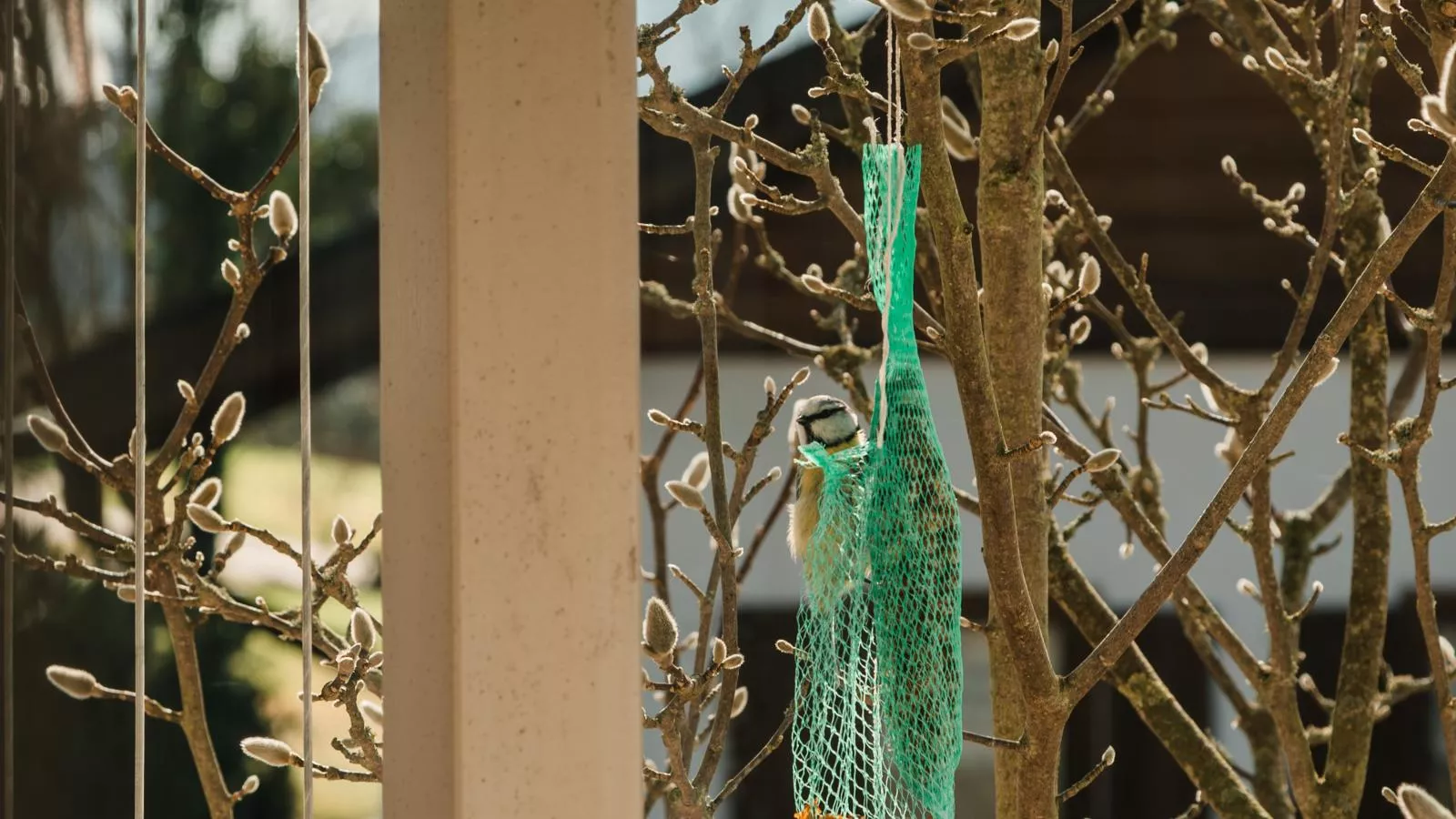 Im Bayerischen Wald-Ambiance