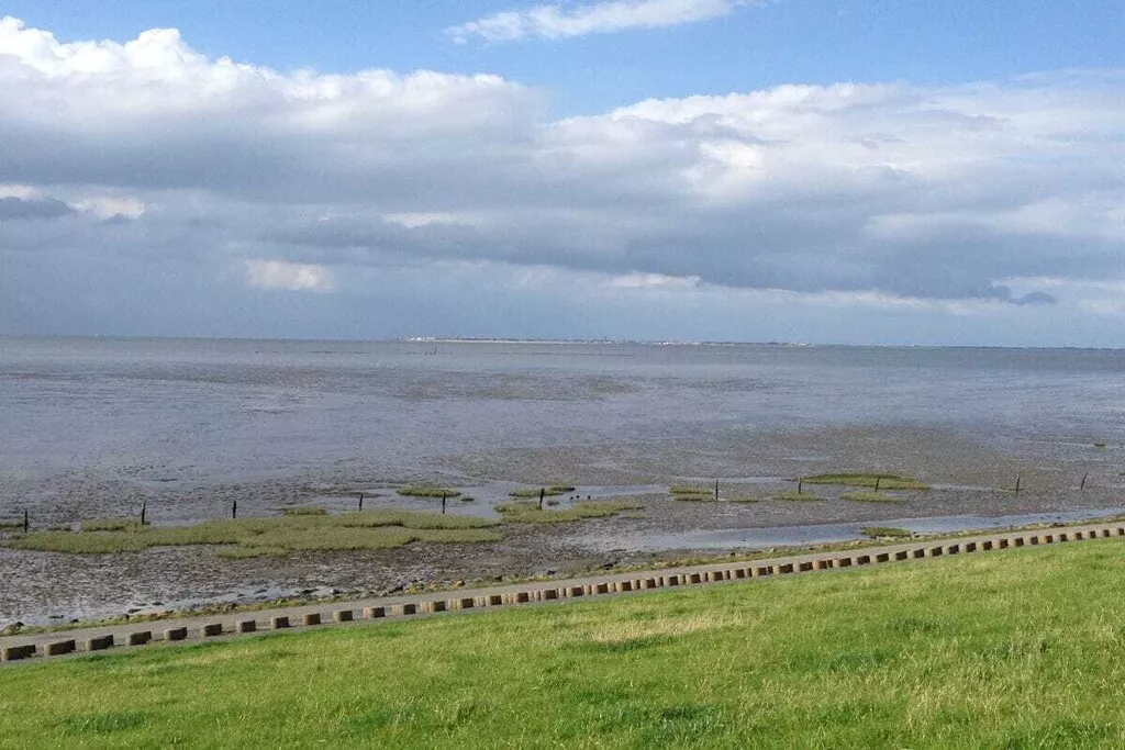 165895-Nicht zugeordnet